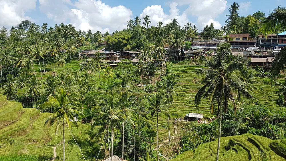 bali indonesia green natural